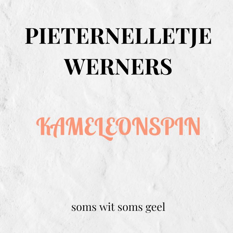 Omslag van KAMELEONSPIN