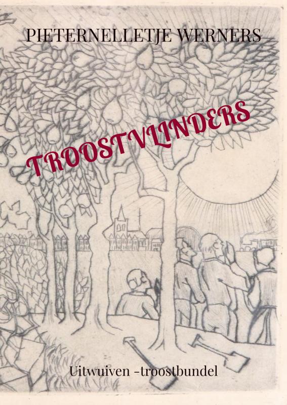 Omslag van TROOSTVLINDERS