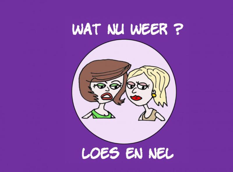 Omslag van Wat nu weer? - Loes en Nel