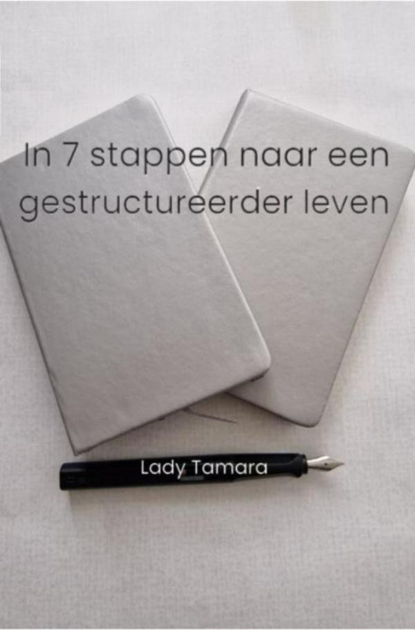 Omslag van In 7 stappen naar een gestructureerder leven