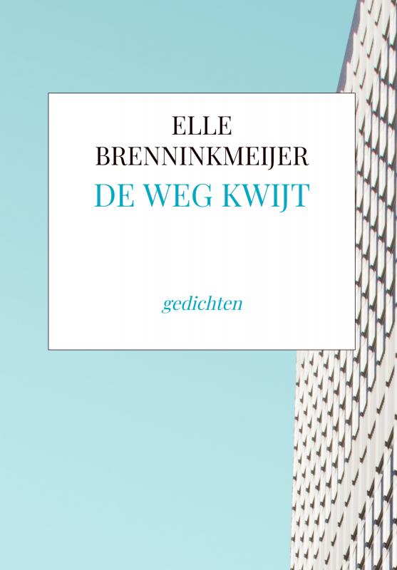 Omslag van DE WEG KWIJT