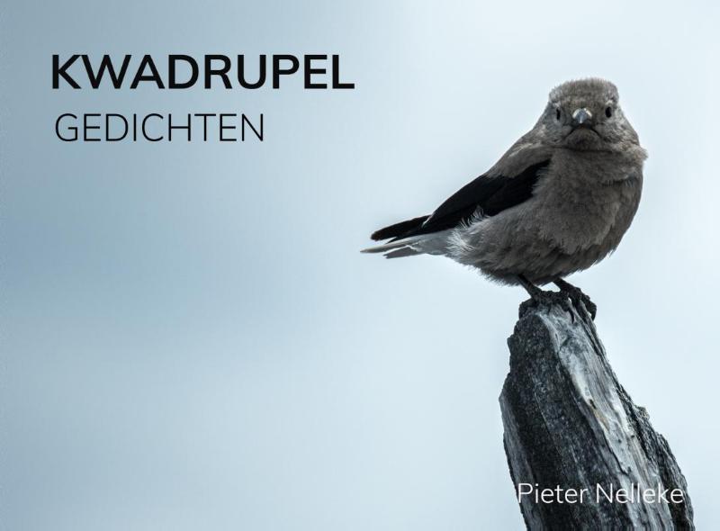 Omslag van KWADRUPEL