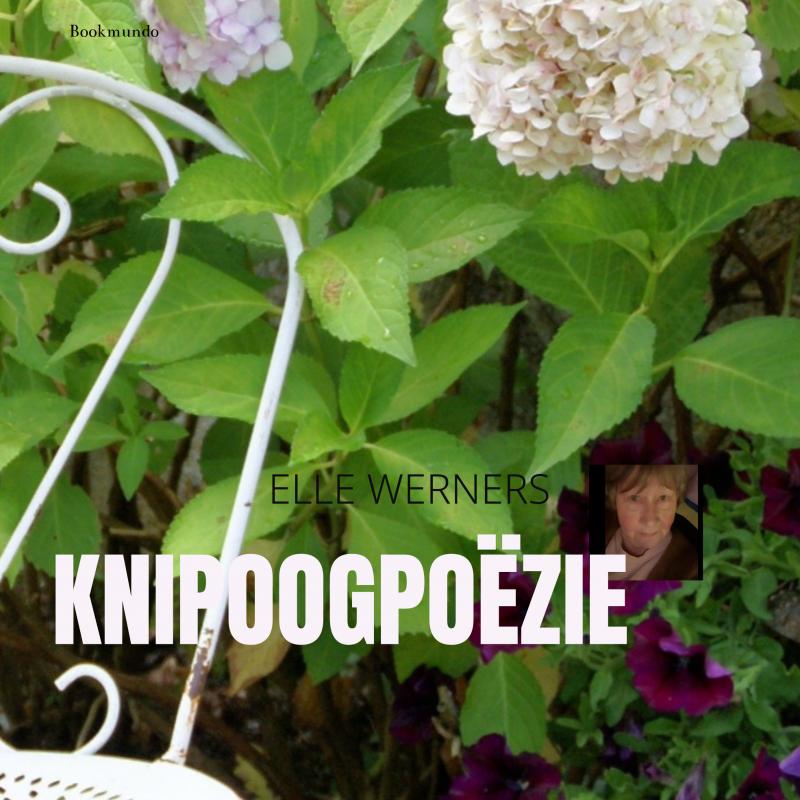 Omslag van KNIPOOGPOËZIE