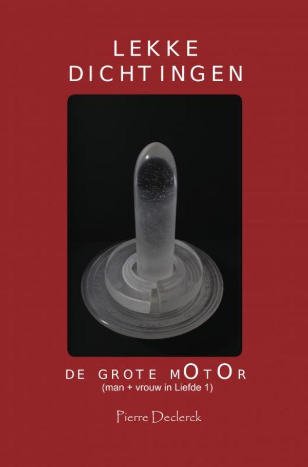 Omslag van LEKKE DICHTINGEN