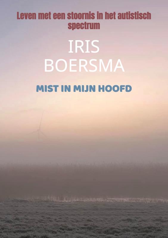 Omslag van MIST IN MIJN HOOFD
