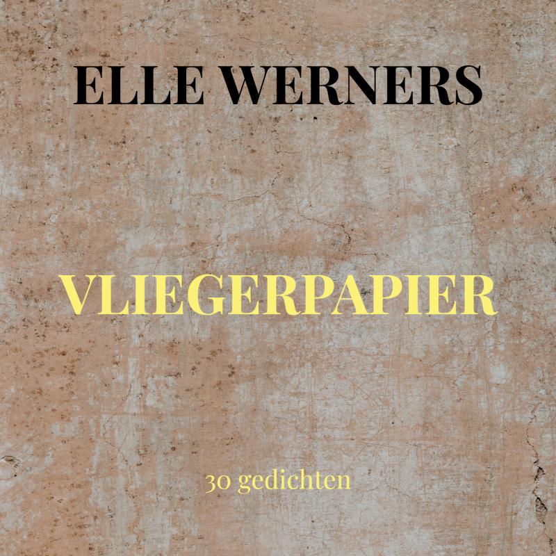 Omslag van VLIEGERPAPIER