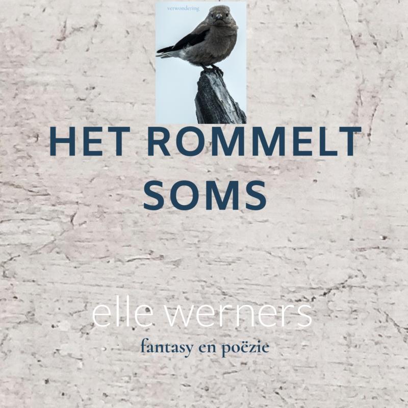 Omslag van HET ROMMELT SOMS