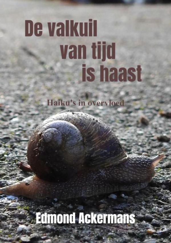Omslag van De valkuil van tijd is haast