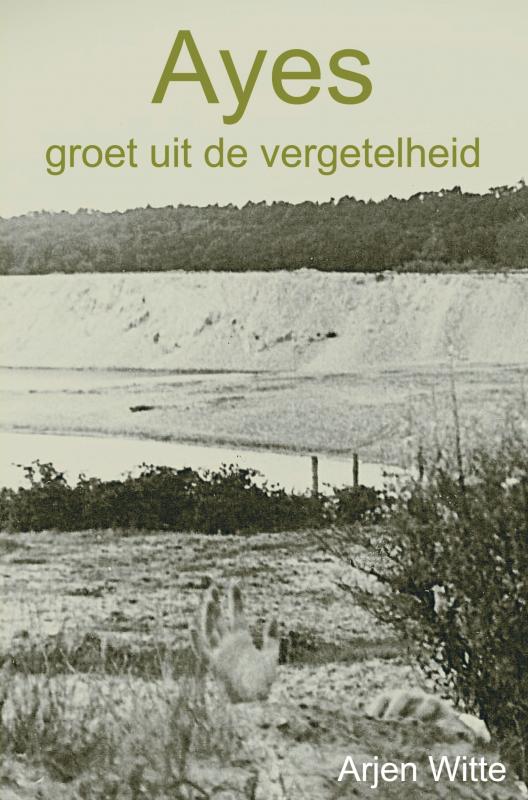 Omslag van Ayes groet uit de vergetelheid