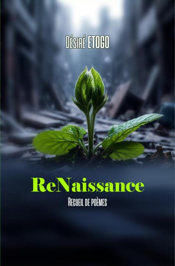 Omslag van ReNaissance