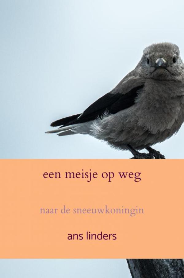 Omslag van een meisje op weg