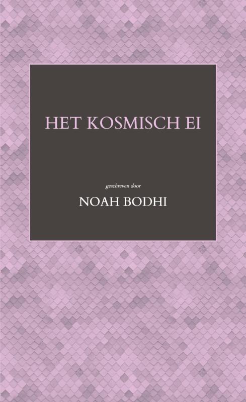 Omslag van Het kosmisch ei