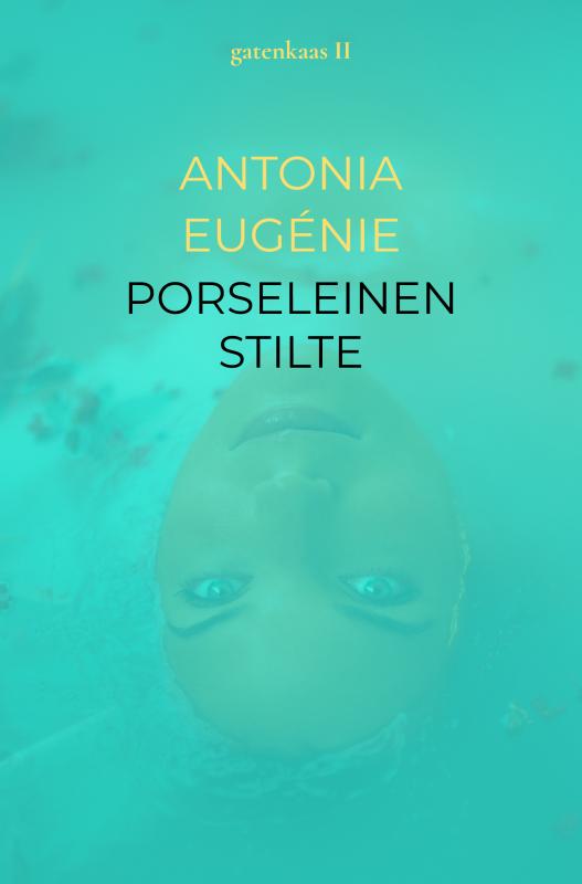 Omslag van PORSELEINEN STILTE