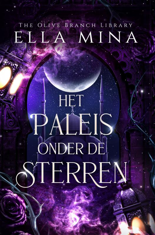 Omslag van Het Paleis onder de Sterren