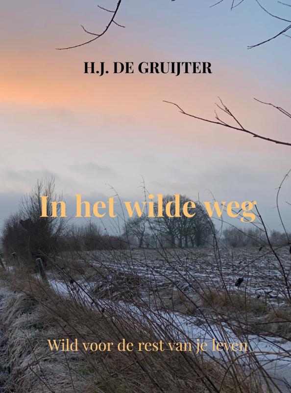 Omslag van In het wilde weg
