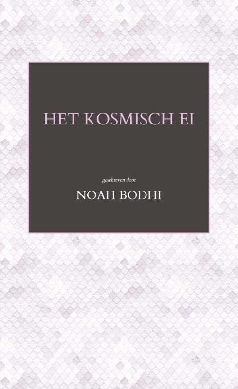 Omslag van Het kosmisch ei