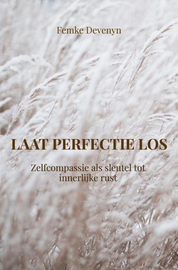 Omslag van Laat perfectie los