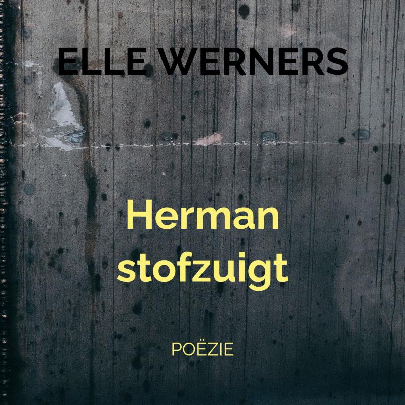Omslag van Herman stofzuigt