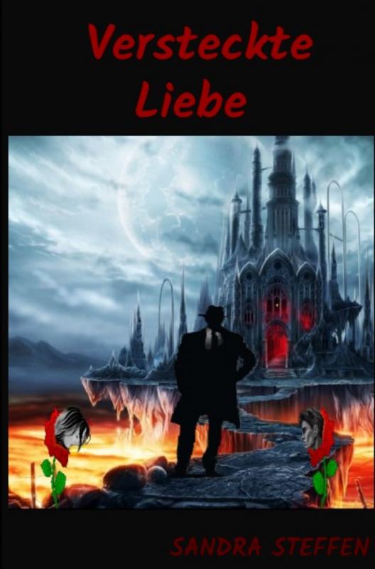 Omslag van Versteckte Liebe