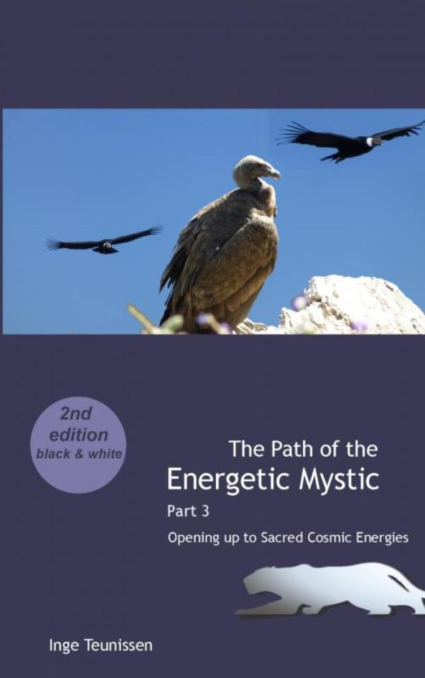 Omslag van The Path of the Energetic Mystic