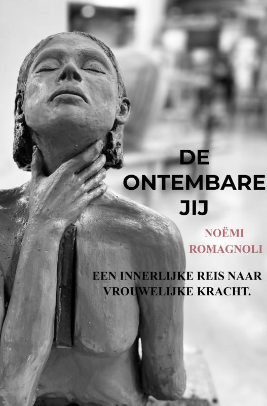 Omslag van De ontembare jij
