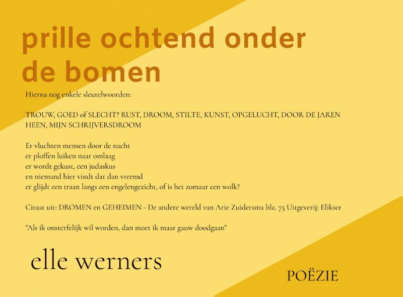 Omslag van PRILLE OCHTEND ONDER DE BOMEN