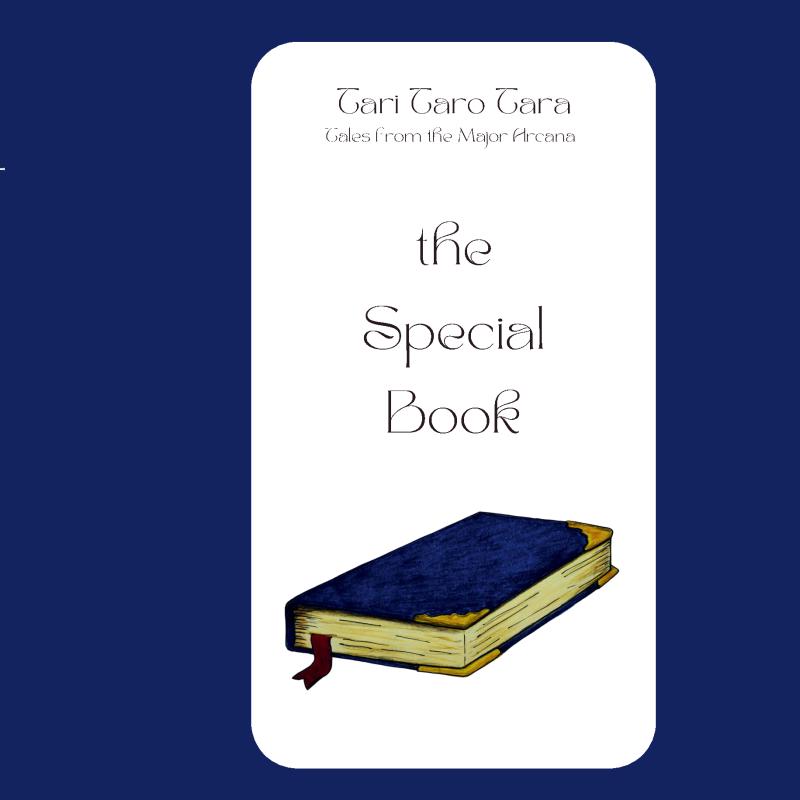 Omslag van The Special Book