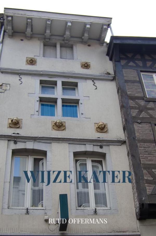Omslag van Wijze kater