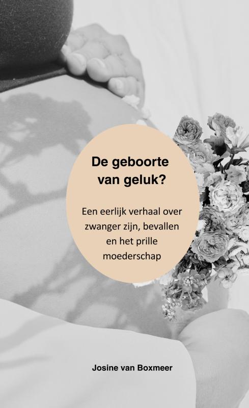 Omslag van De geboorte van geluk?