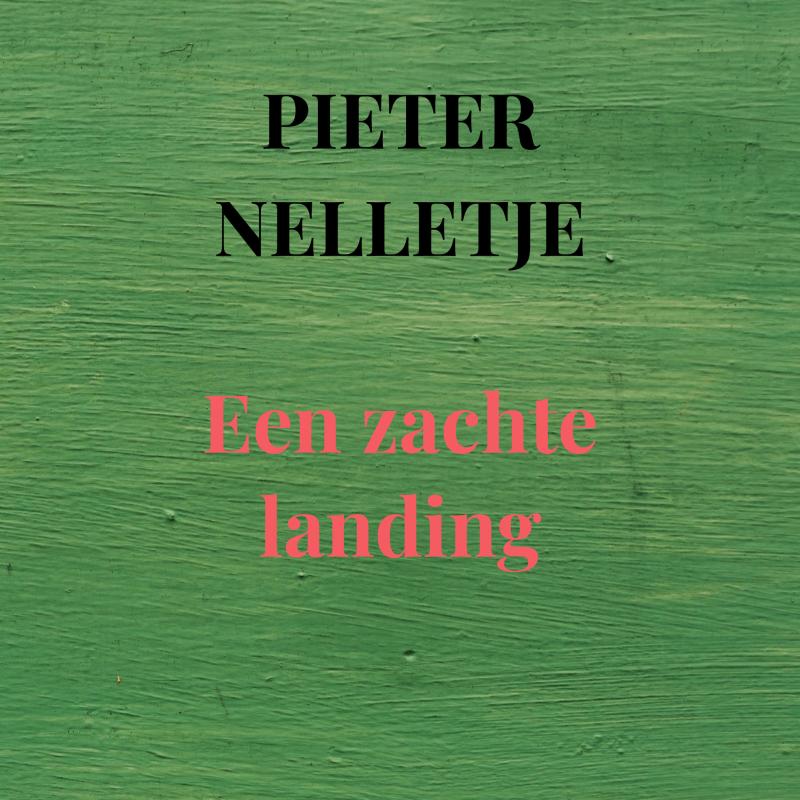 Omslag van Een zachte landing
