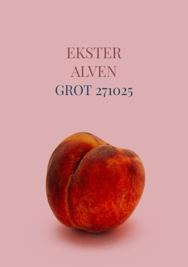 Omslag van Grot 271025