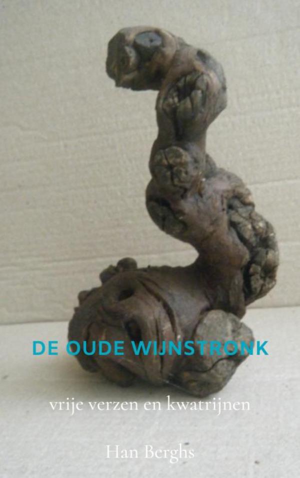 Omslag van DE OUDE WIJNSTRONK
