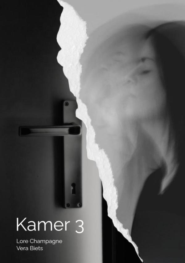 Omslag van Kamer 3