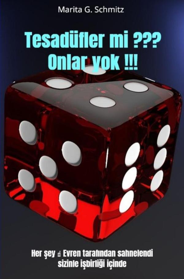 Omslag van Tesadüfler mi ??? Onlar yok !!!