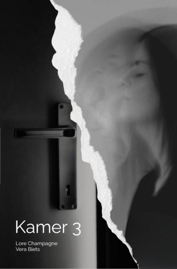 Omslag van Kamer 3