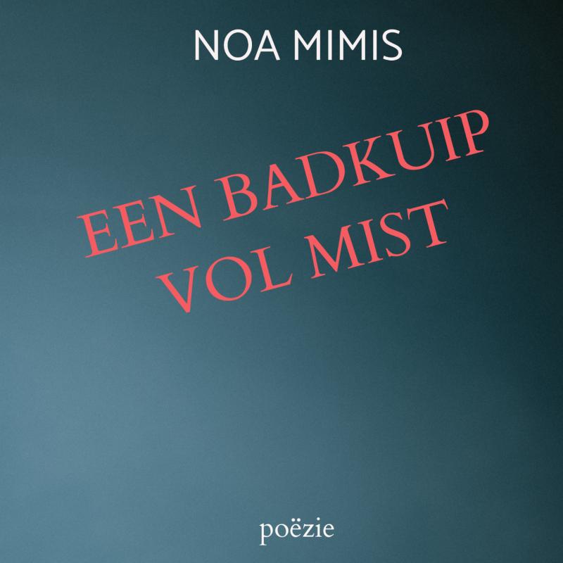 Omslag van EEN BADKUIP VOL MIST