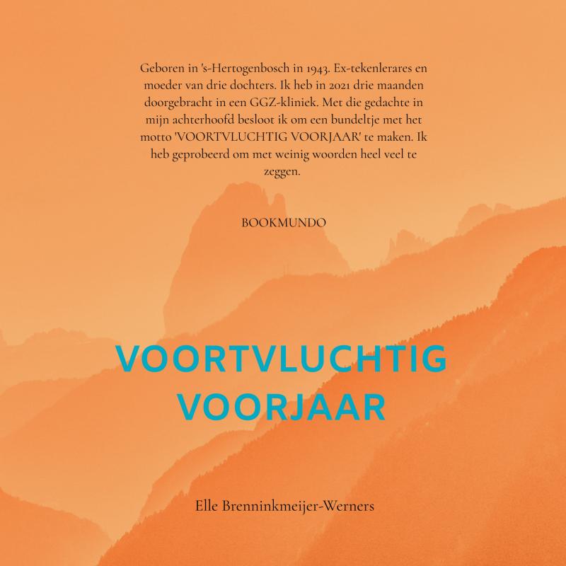 Omslag van VOORTVLUCHTIG VOORJAAR
