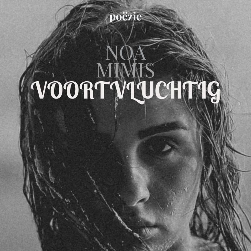 Omslag van VOORTVLUCHTIG