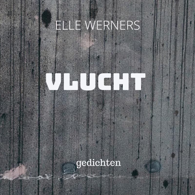 Omslag van VLUCHT