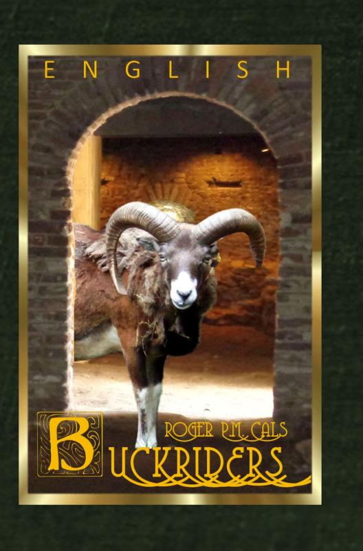 Omslag van Buckriders