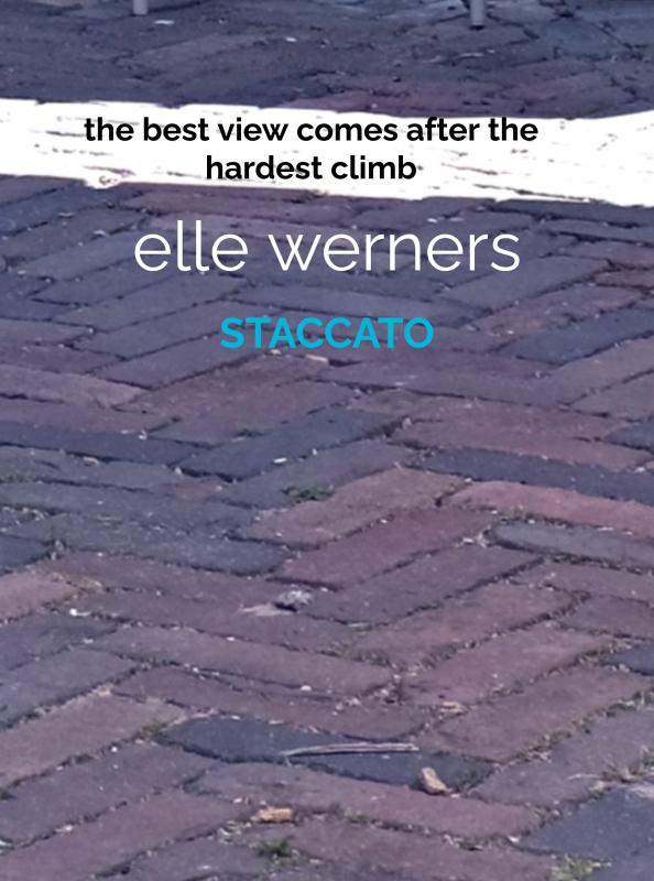 Omslag van STACCATO