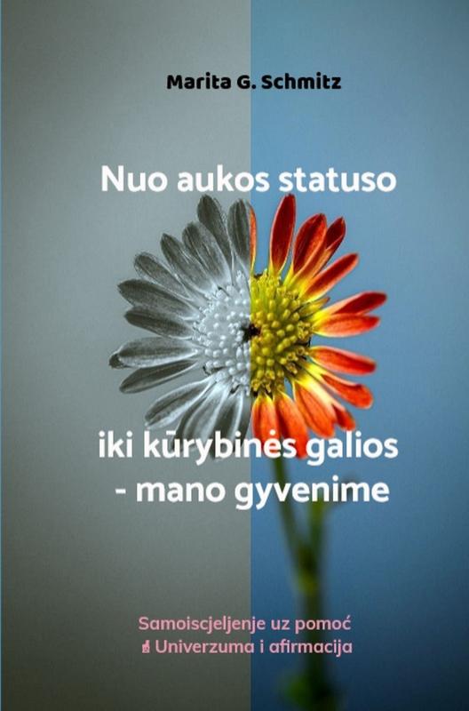 Omslag van Nuo aukos statuso iki kūrybinės galios - mano gyvenime