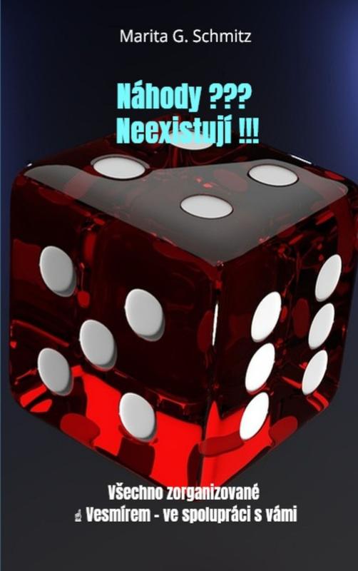Omslag van Náhody ??? Neexistují !!!