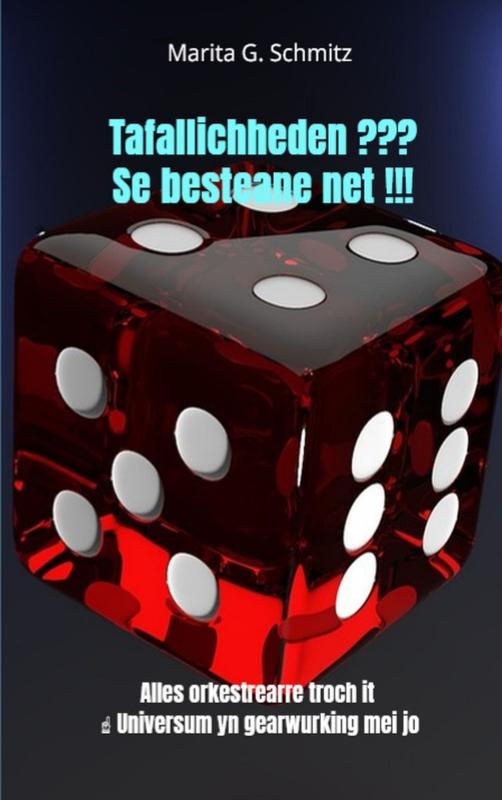 Omslag van Tafallichheden ??? Se besteane net !!!