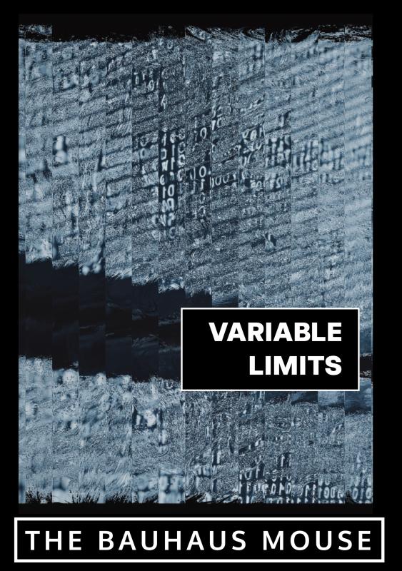 Omslag van Variable Limits