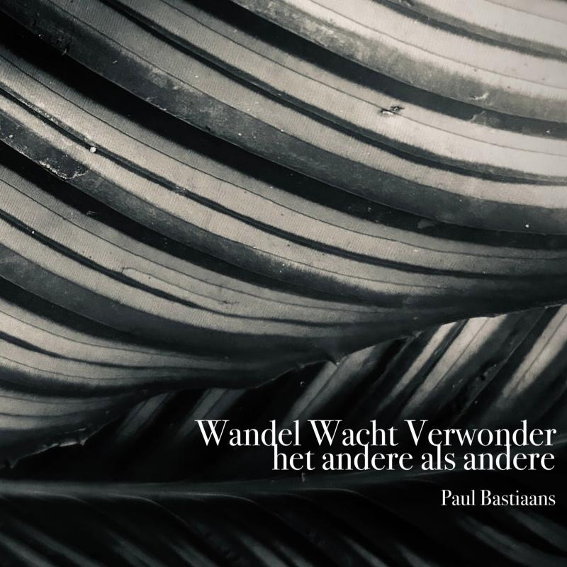 Omslag van Wandel Wacht Verwonder