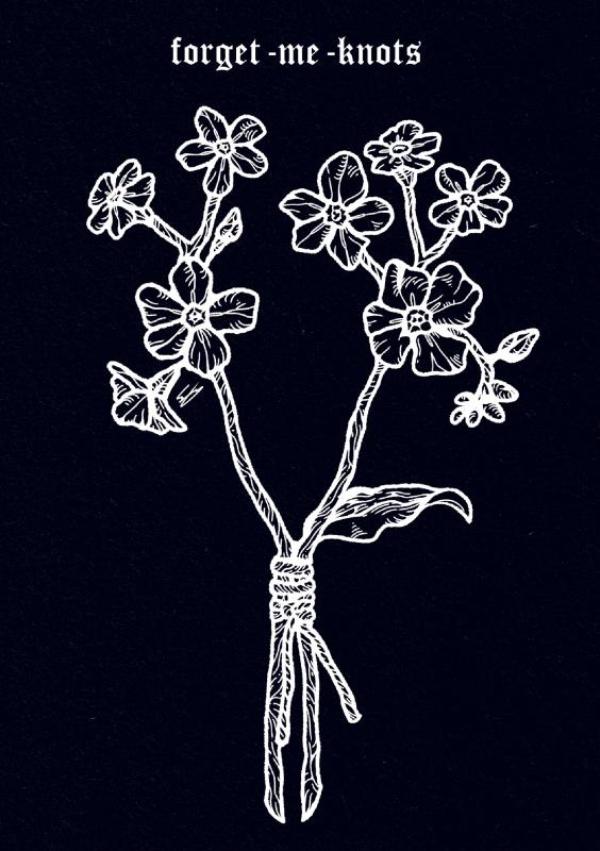 Omslag van forget me knots