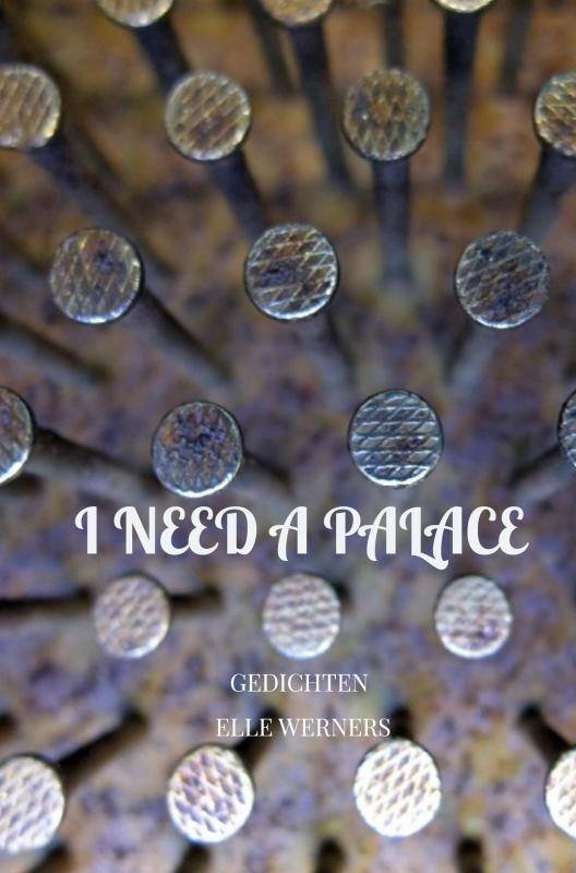 Omslag van I NEED A PALACE