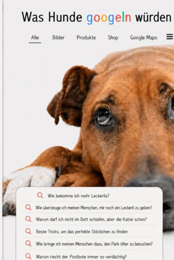 Omslag van Was Hunde googeln würden
