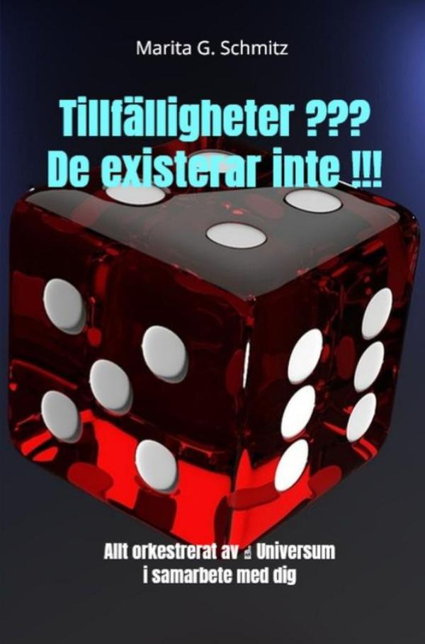Omslag van Tillfälligheter ??? De existerar inte !!!